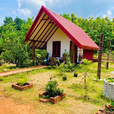 Sigiri Enaya Cottage Sigiriya Ngoại thất bức ảnh
