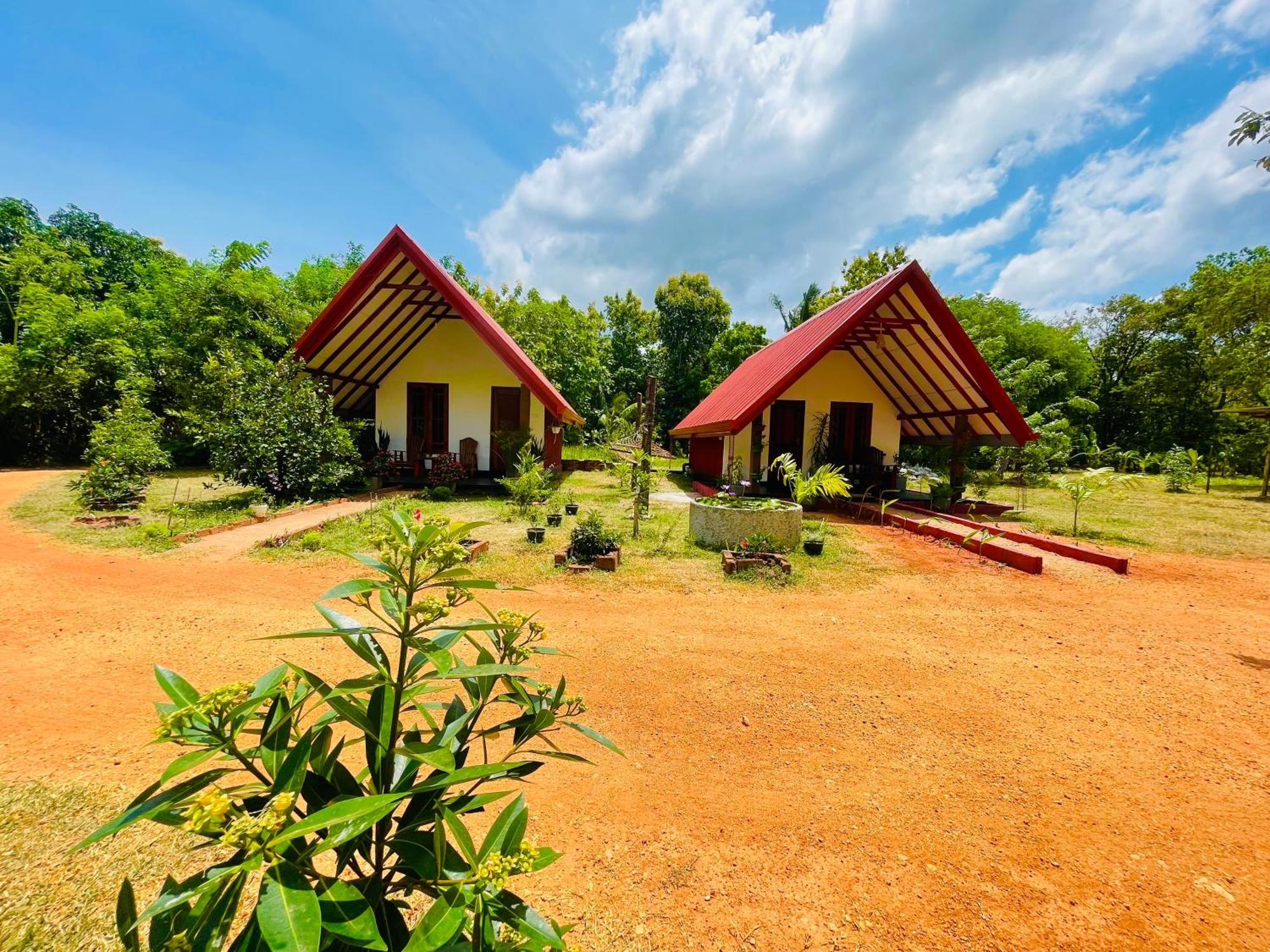 Sigiri Enaya Cottage Sigiriya Ngoại thất bức ảnh
