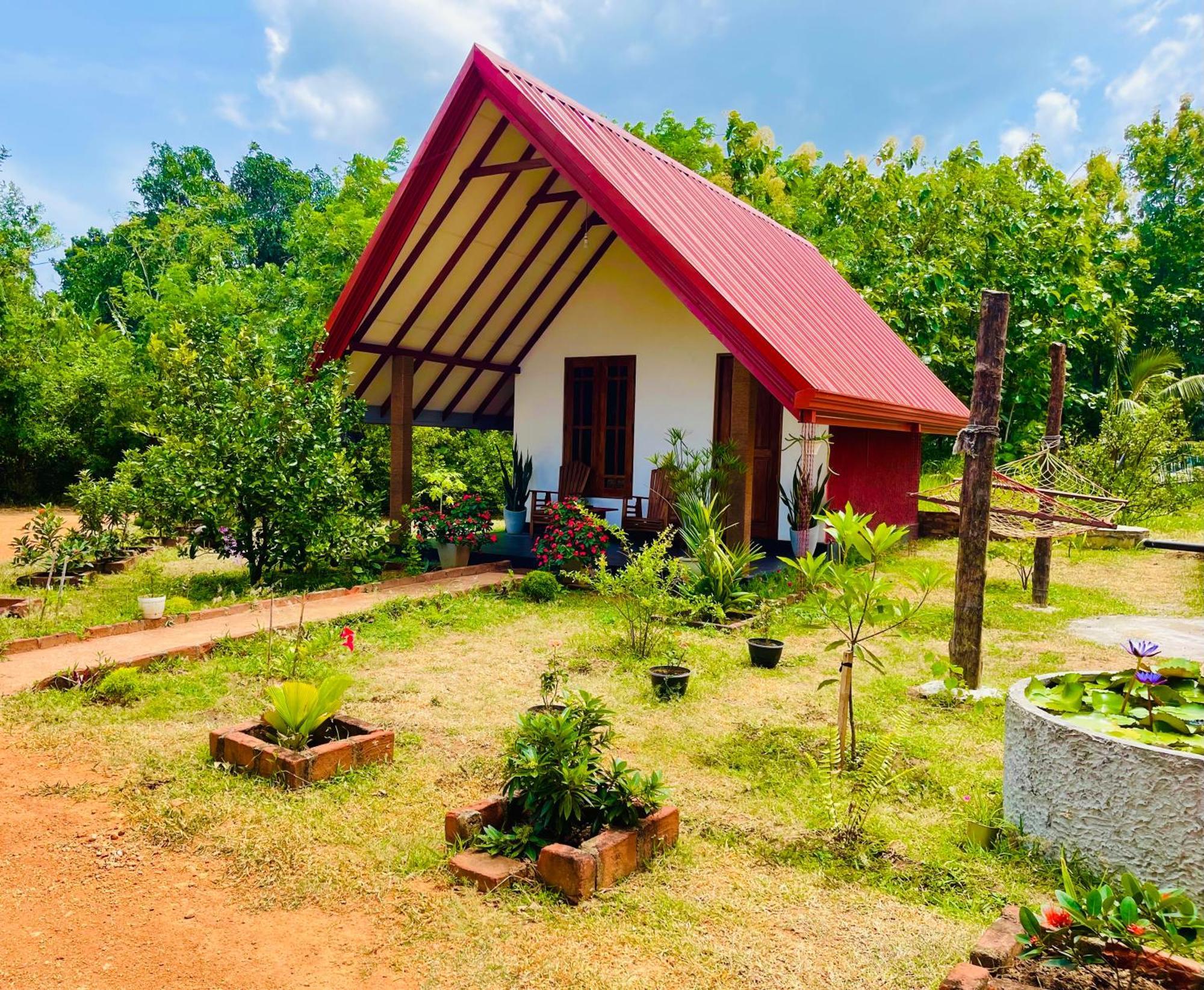 Sigiri Enaya Cottage Sigiriya Ngoại thất bức ảnh