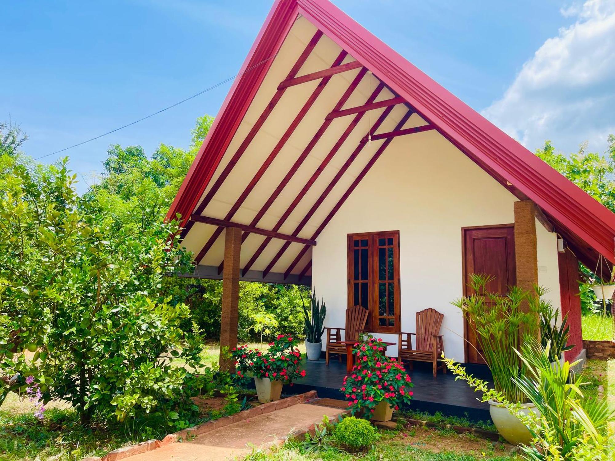 Sigiri Enaya Cottage Sigiriya Ngoại thất bức ảnh