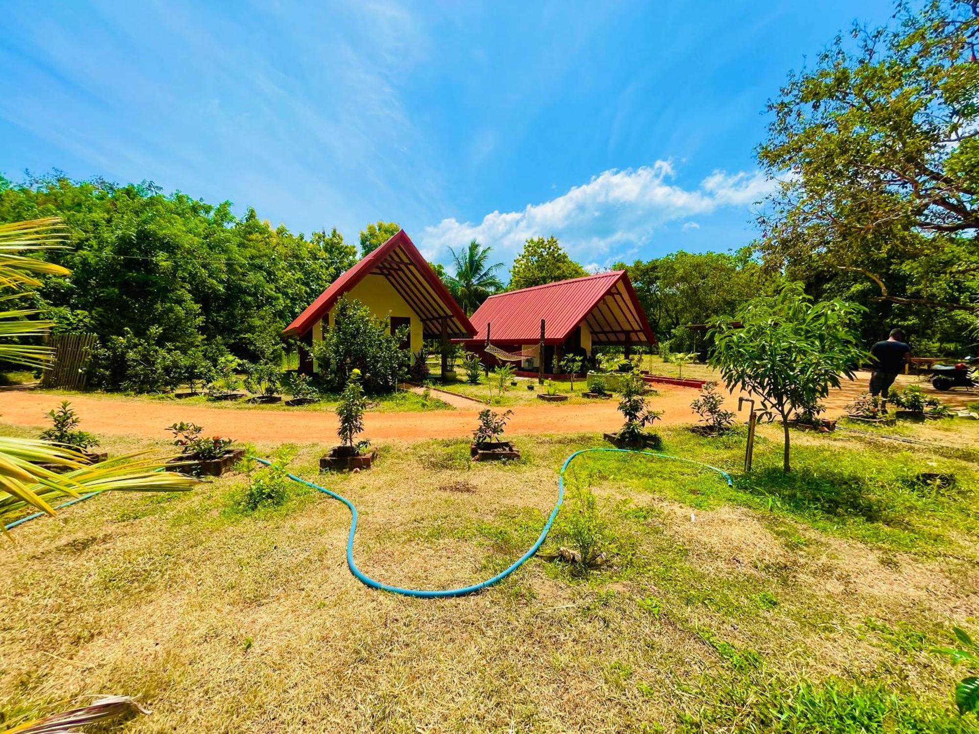 Sigiri Enaya Cottage Sigiriya Ngoại thất bức ảnh