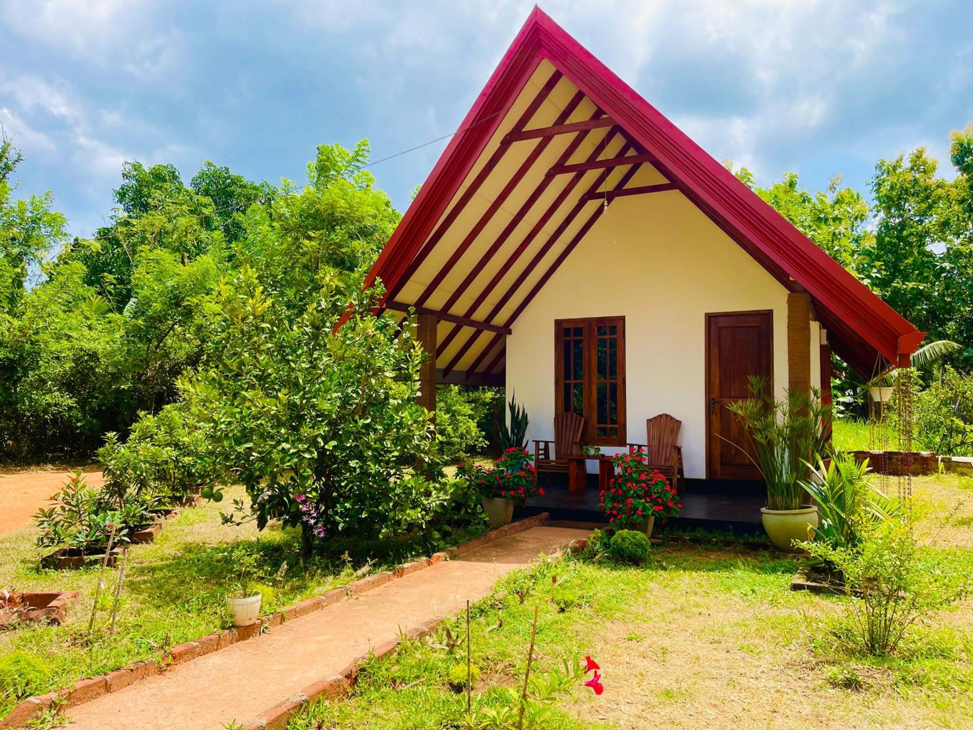 Sigiri Enaya Cottage Sigiriya Ngoại thất bức ảnh